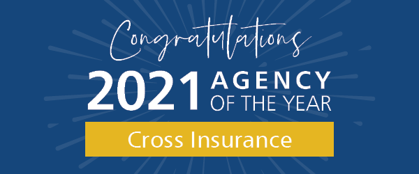 2021 Agency of the Year, Diamond Achievers, and Life Agencies of the Year Named.