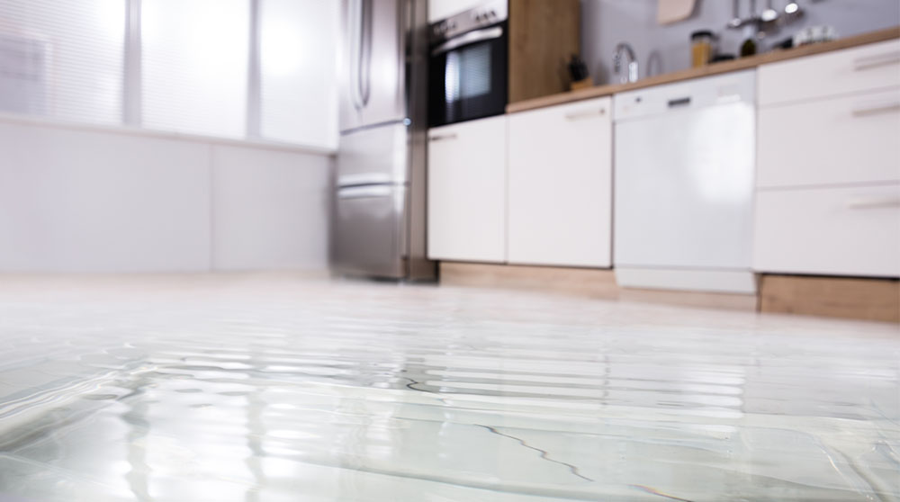 Insurance Insider: Expert tips to prevent water damage in your home.